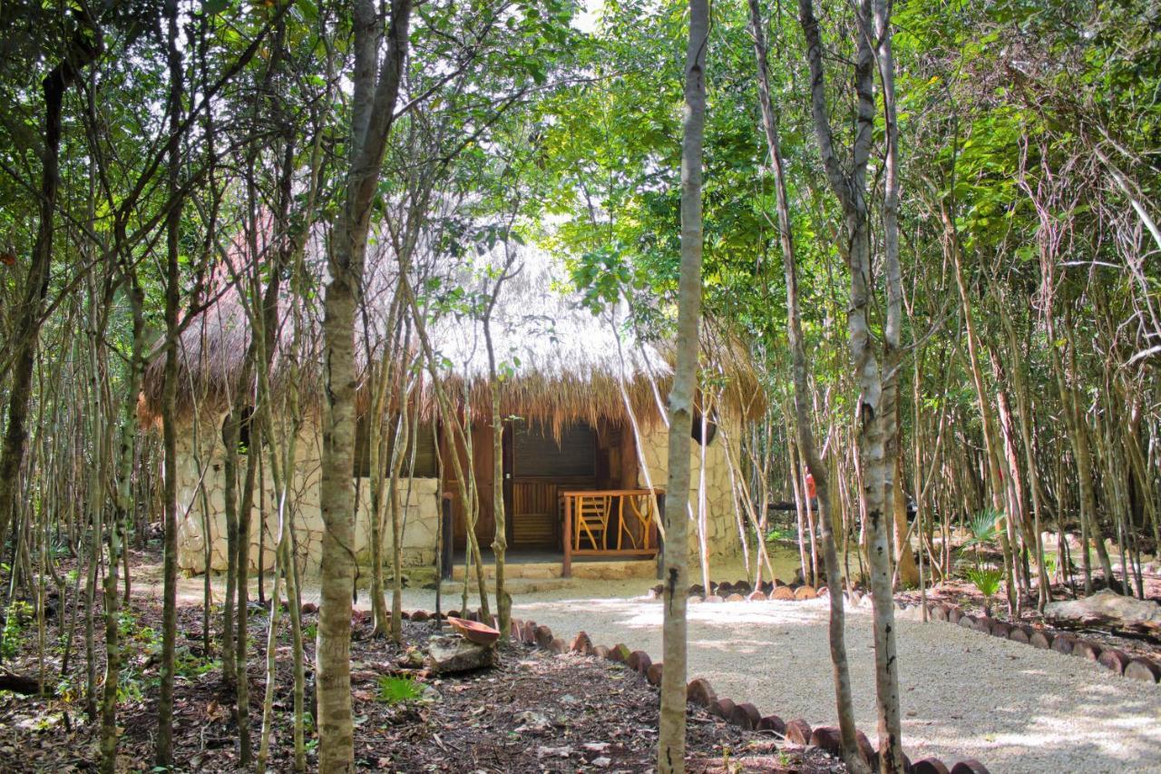 Aldea Maya-Ha Cabanas Con Cenotes Puerto Morelos Εξωτερικό φωτογραφία
