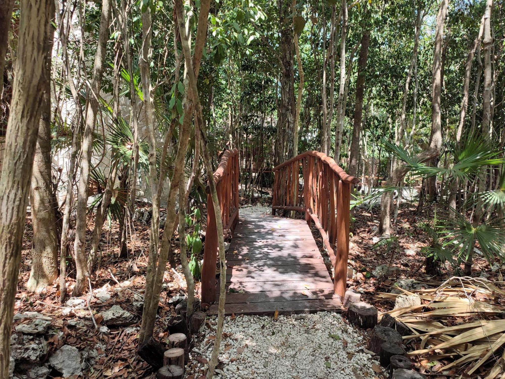 Aldea Maya-Ha Cabanas Con Cenotes Puerto Morelos Εξωτερικό φωτογραφία