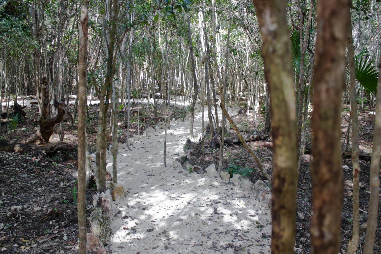 Aldea Maya-Ha Cabanas Con Cenotes Puerto Morelos Εξωτερικό φωτογραφία