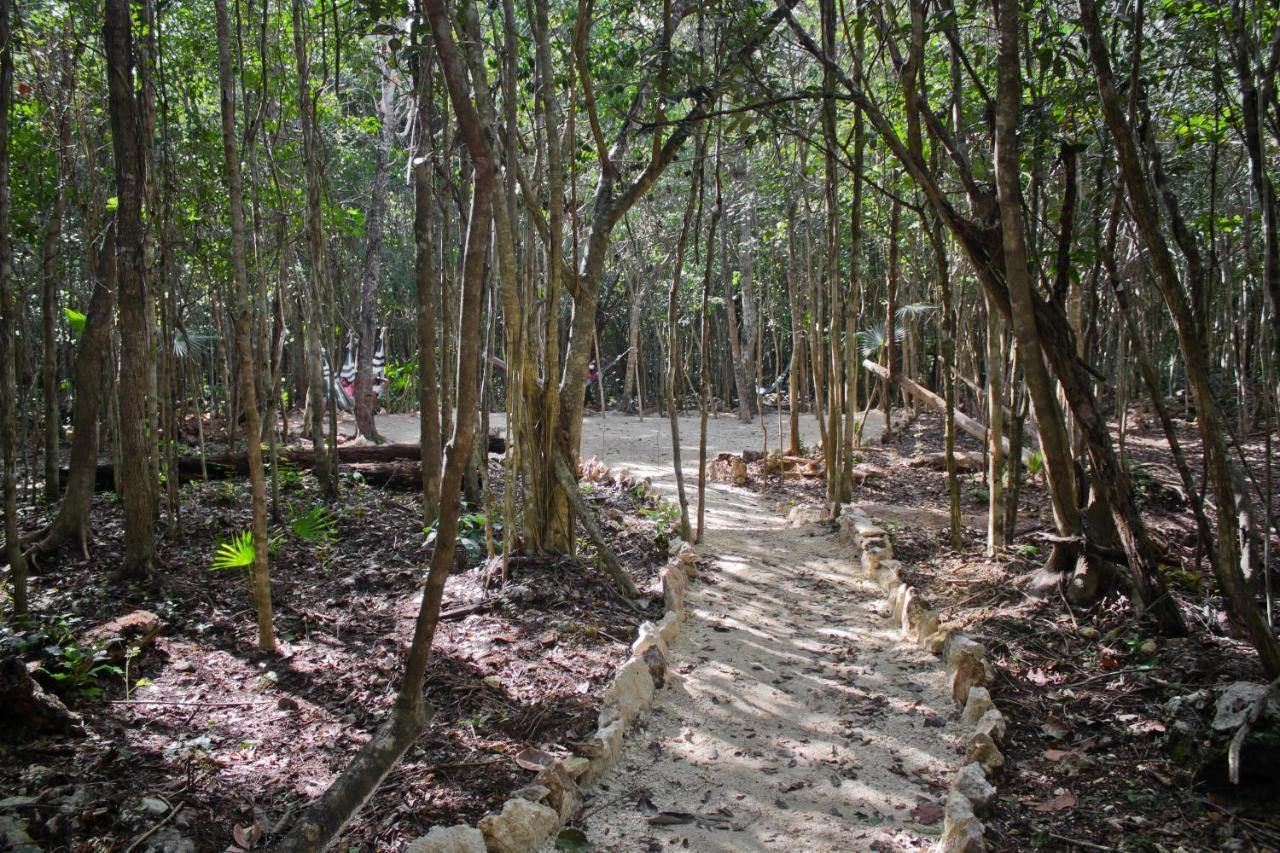 Aldea Maya-Ha Cabanas Con Cenotes Puerto Morelos Εξωτερικό φωτογραφία